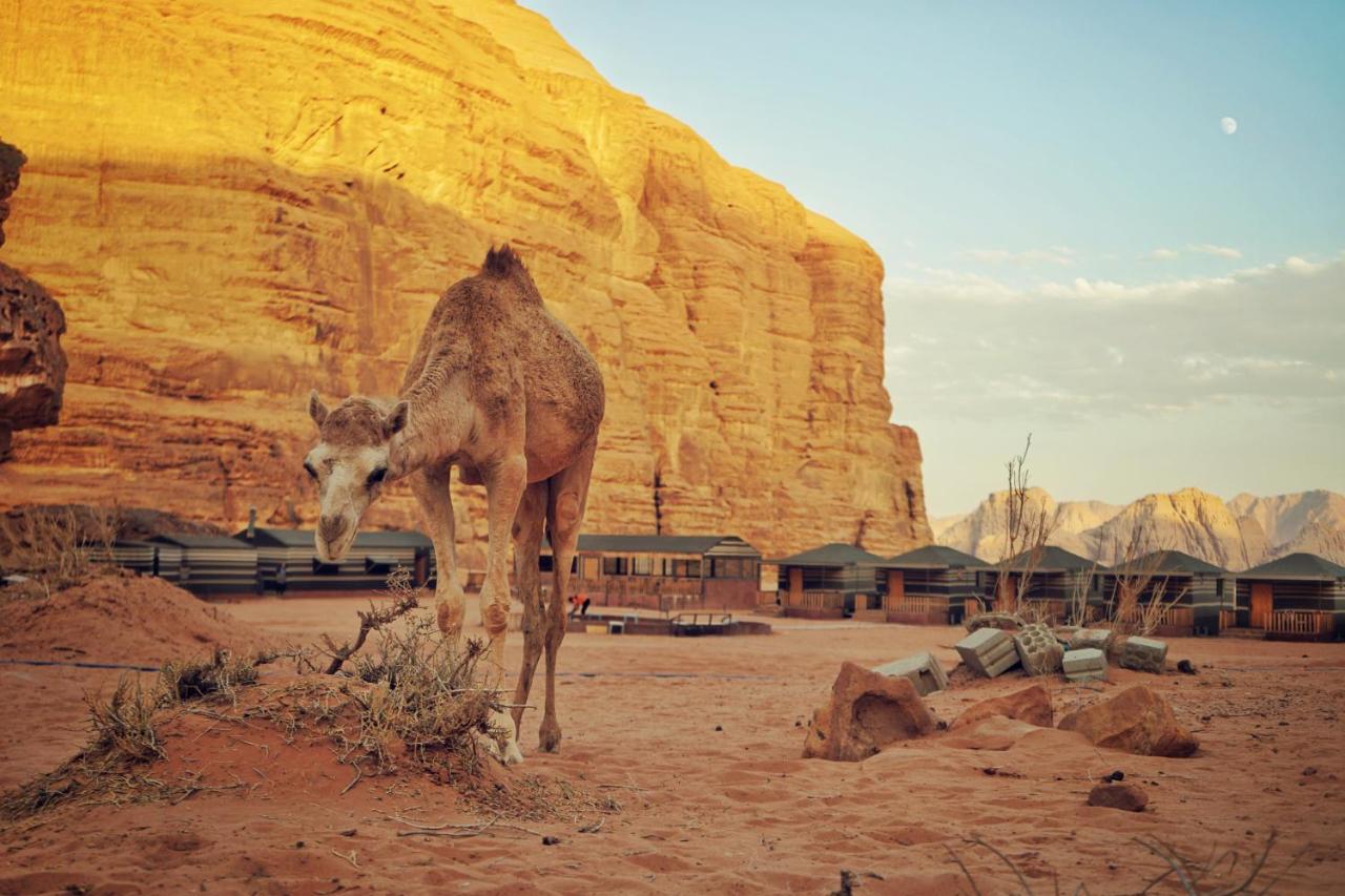 Salman Zwaidh Camp Hotel Wadi Rum Exterior photo